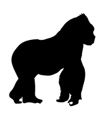 Gorilla silhouette