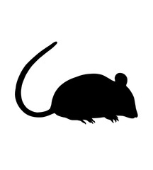 Mouse silouete line art