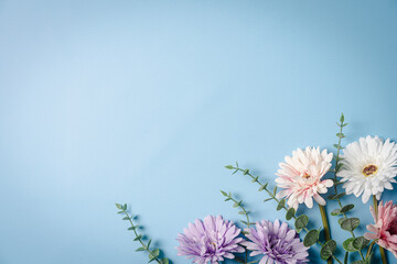 Bright summer background with pink, purple and white gerbera flowers and green leaves on blue...