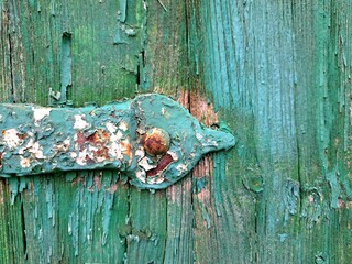 Rustic green door