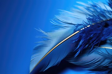 Blue feathers, bokeh lights on the background