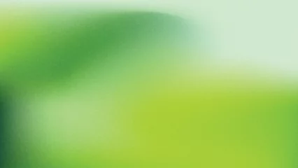 Foto op Plexiglas Green Gradient Background, Abstract Green Grainy Gradient Background Vector © Rhodium