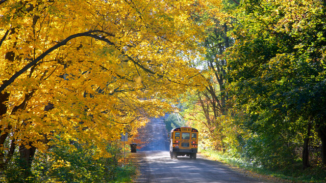 School bus on a country road with autumn leaf colour