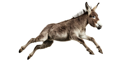 Side View Jumping Donkey. Isolated on Transparent background.
