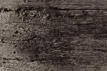wet old cracked board 