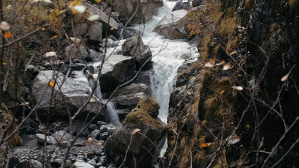 Cold Mountain stream flowing over the big rocks. Creative. River flowing surrounded by autumn nature.