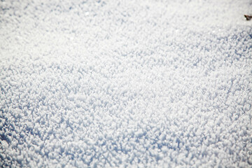 christmas background with snow