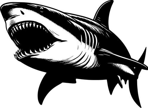 "Megamouth Shark" Images – Browse 148 Stock Photos, Vectors, and Video