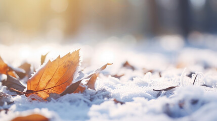 Closeup of snow gently accumulating on a pile of leaves, creating a contrast between the frosty white and colorful autumn leaves.