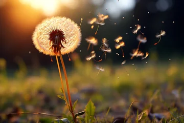  vibrant whimsical and transient nature of a dandelion releasing its seeds into the wind, symbolizing both the fragility and resilience of life's cycles © Elsa