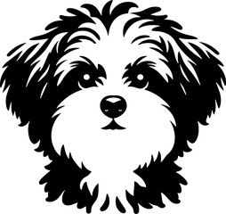Maltipoo icon