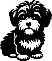 Maltipoo icon 6