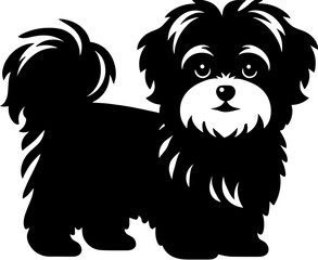 Maltipoo icon 4