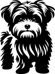 Maltipoo icon 5