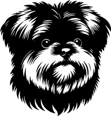Maltipom icon 3