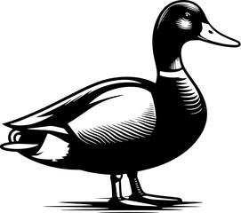 Mallard Duck Icon 6