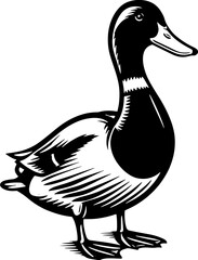 Mallard Duck Icon 2