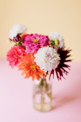 Beautiful bouquet of dahlia in vase