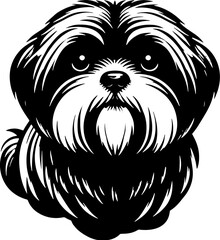 Mal Shi icon 5
