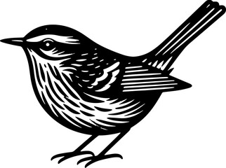 MacGillivrays Warbler icon 5