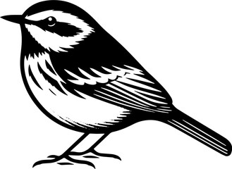MacGillivrays Warbler icon