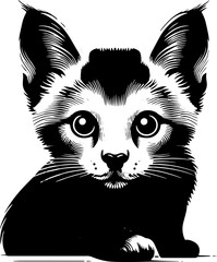 Lykoi Cat icon 8