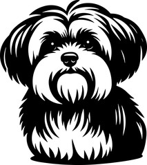Lowchen dog icon