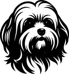 Lowchen dog icon 9