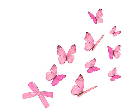 set of butterflies background with butterfly	