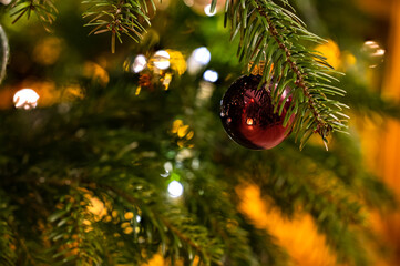 Red ball on a branch on the Christmas tree at Christmas