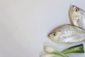 Silver Biddies Fresh, sea ​​fresh fish on white background, top view,omega, phosphorus, marine,...