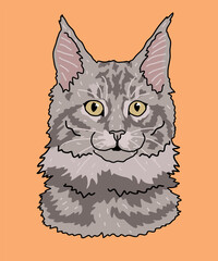 Maine Coon Cat Head Front View