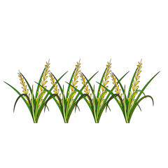 Rice Plant Agriculture Vector Design. Rice Plant Design Element. Rice Plant Single Icon. Rice Plant Illustration Svg File