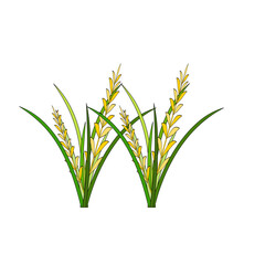 Rice Plant Agriculture Vector Design. Rice Plant Design Element. Rice Plant Single Icon. Rice Plant Illustration Svg File