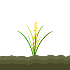 Rice Plant Agriculture Vector Design. Rice Plant Design Element. Rice Plant Single Icon. Rice Plant Illustration Svg File