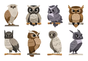 Poster Owls collection. Cartoon owl face and eyes, flying predator bird heads with beak, eyes and feathers, wild zoo ornithology avatars. Vector flat set of character owl face illustration © Frogella.stock