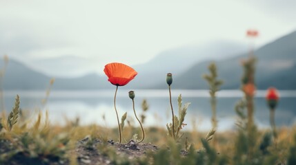 Obraz premium a red flower sitting on top of a lush green field next to a body of water with mountains in the background.