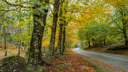 Fototapeta premium Autumn landscape at Geres National Park