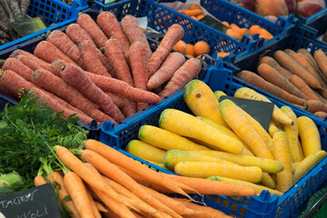 Frische bunte Karotten auf dem Markt