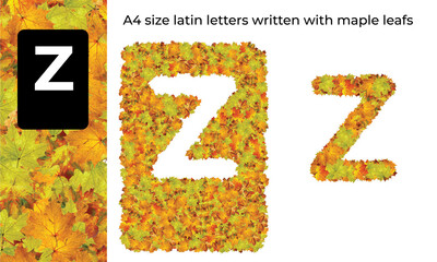 A4 size latin letters written with maple leafs