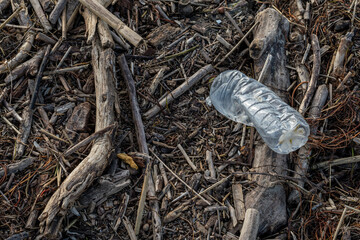 Beach in northern Italy after a violent storm. Plastic and cans returned from the sea together with algae. Pollution and waste on the beach. Marine pollution from plastic.