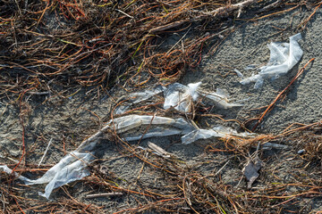 Beach in northern Italy after a violent storm. Plastic and cans returned from the sea together with algae. Pollution and waste on the beach. Marine pollution from plastic.