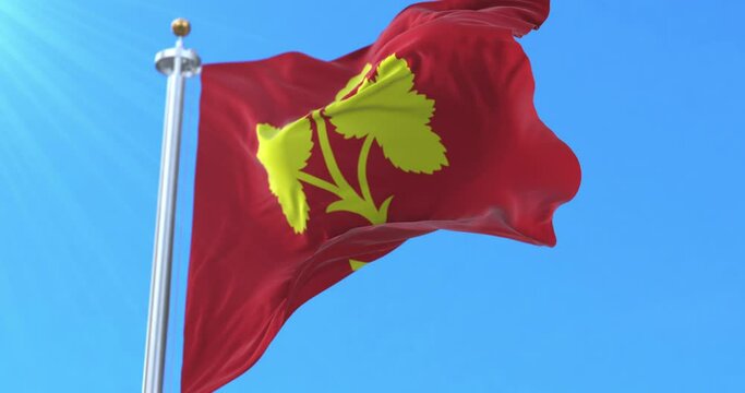 Flag of Nesseby kommune, Norway. Loop