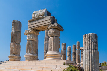 canakkale gulpınar apollon smintheion temple columns and mice