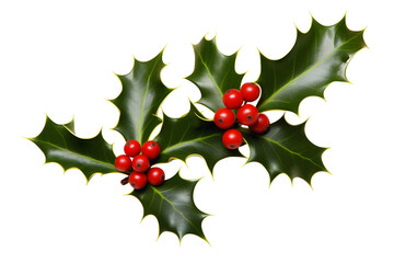A sprig, three leaves, of green holly and red berries for Christmas decoration isolated against a transparent background.