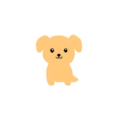 Obraz premium cute puppy dog