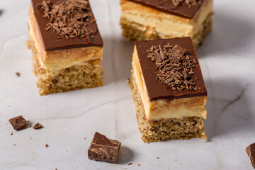 Eskimo cake. Pieces of chocolate coffee cake