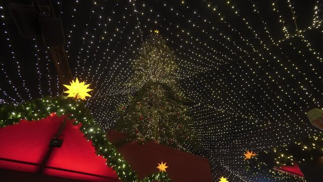 Wide shot from the lower point of the Christmas tree in the center of Cologne