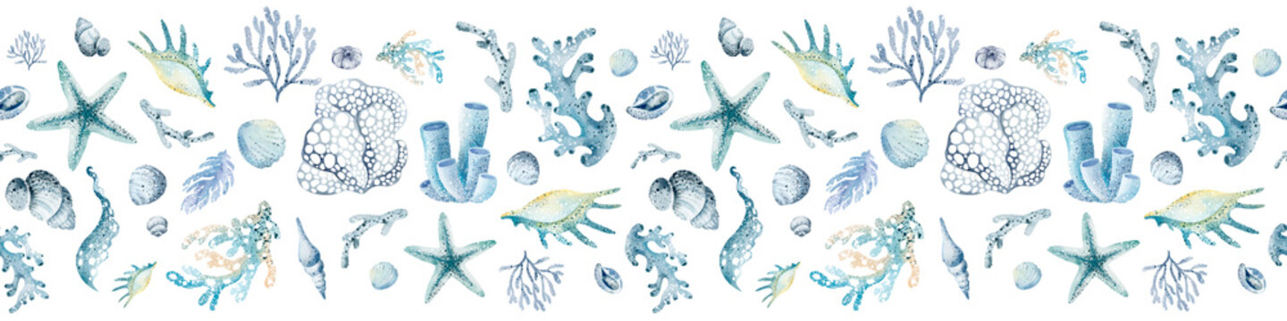 Underwater sea border. Watercolor corals and seashells on isolated background for banner. Flora of the ocean marine nature.  Undersea horizontal ornament.