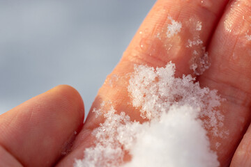 melting snow in hand, man's hand holding snow